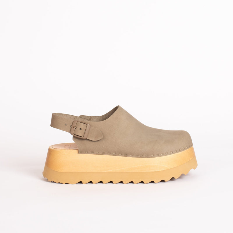 About the Birch Pre-Order!