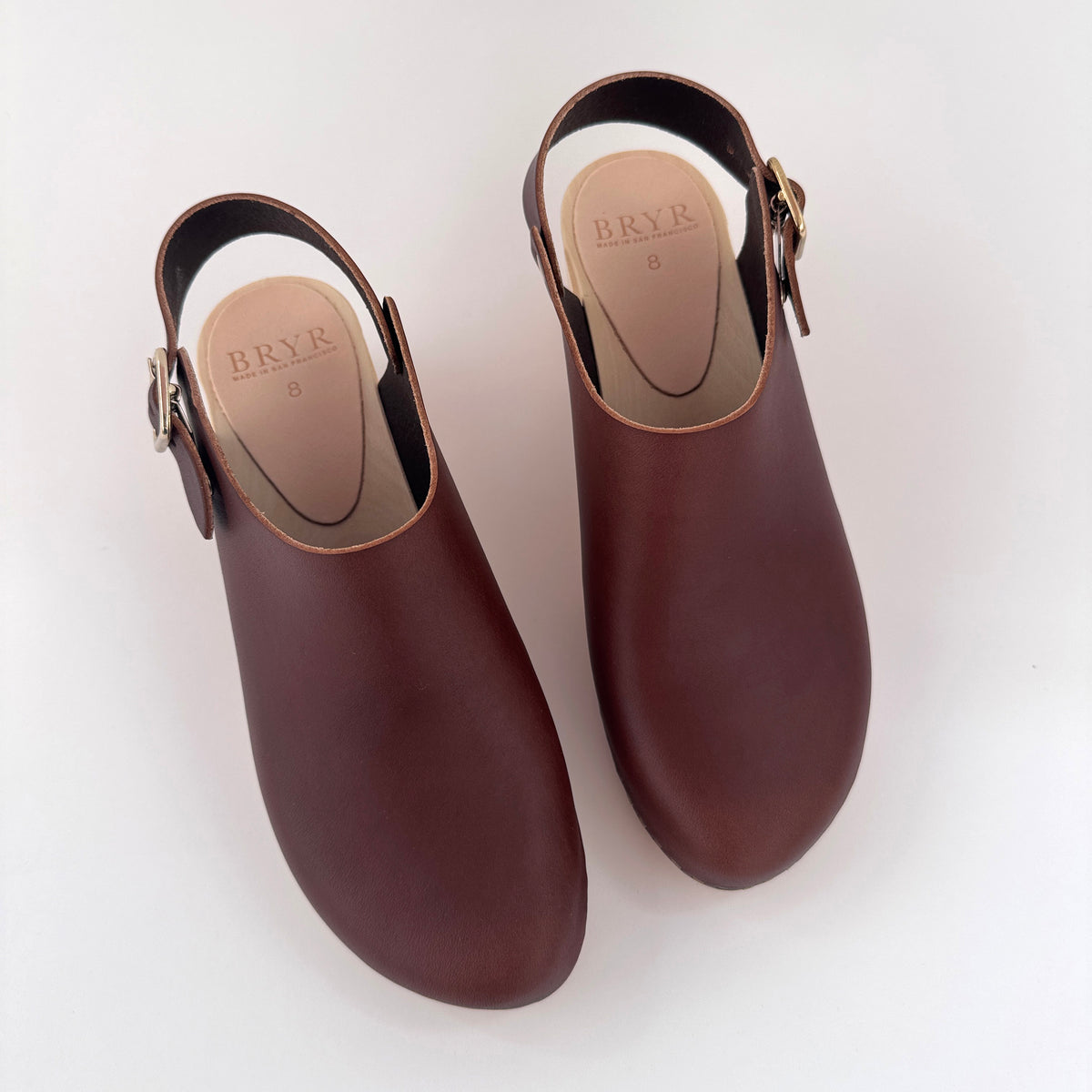Daphne in Coffee- Coming 7/23