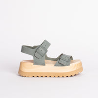 Gigi in Aloe-Go live 5/14